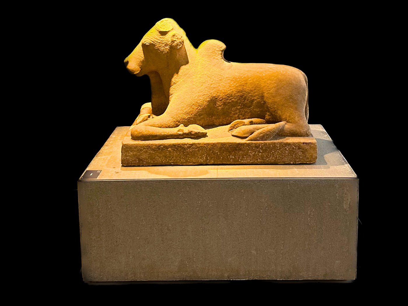 A carved sandstone Nandi in the Museum of Cham Sculpture, Da Nang